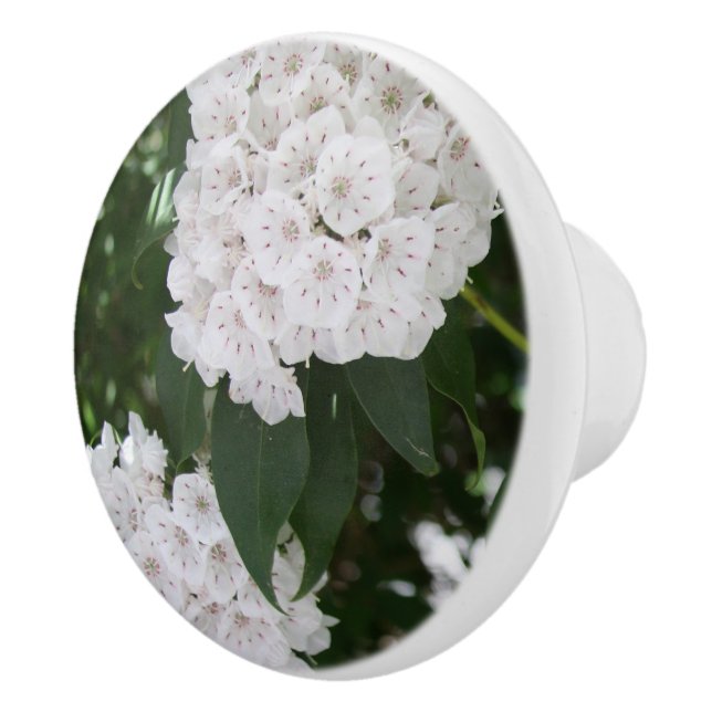 Pretty White Mountain Laurel Flowers Ceramic Knob (Right)