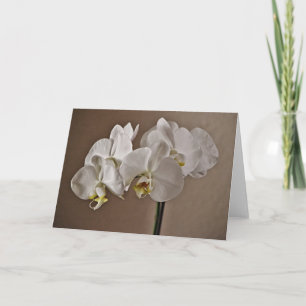 Pretty White Orchid Flowers Note Card