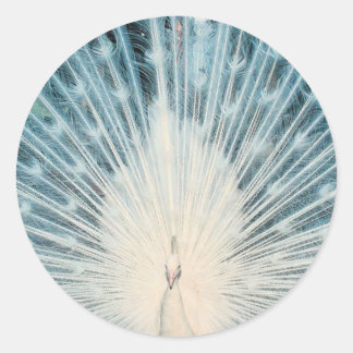 Pretty White Peacock Classic Round Sticker