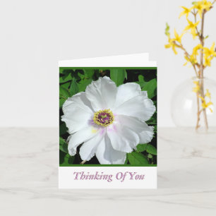 Pretty White Peony /Thinking Of You / Blank Inside Card
