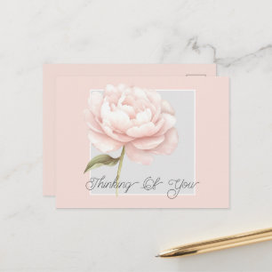 Pretty White Pink Rose Flower Personalised Postcard