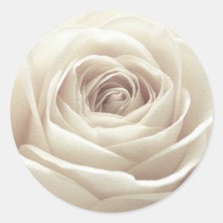 Pretty White Rose Classic Round Sticker