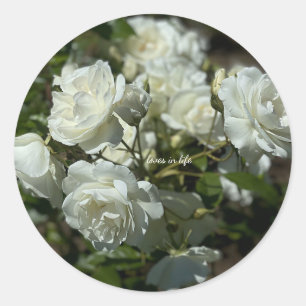Pretty White Roses Classic Round Sticker