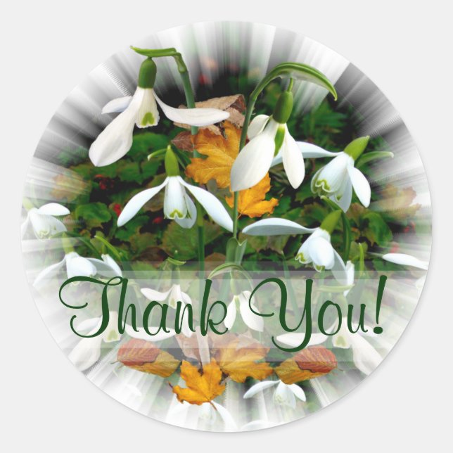 Pretty White Snowdrops Custom Text Classic Round Sticker (Front)
