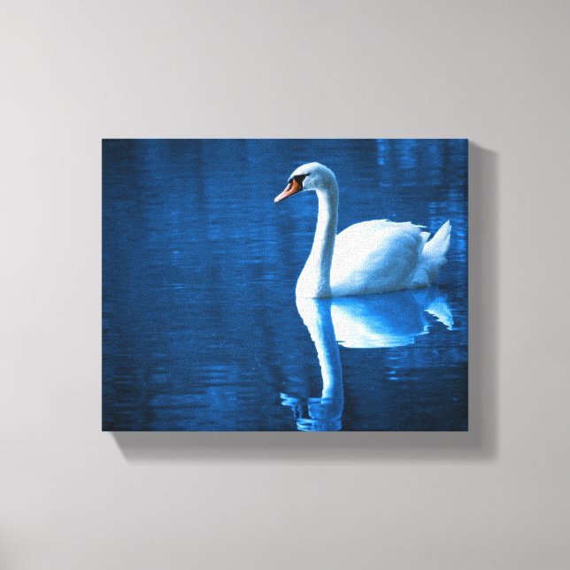 Pretty white swan floating on a blue lake canvas print (Front)
