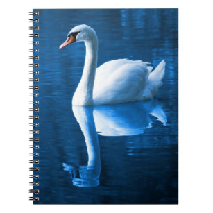 Pretty white swan floating on a blue lake notebook