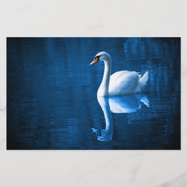 Pretty white swan floating on a blue lake stationery (Front)