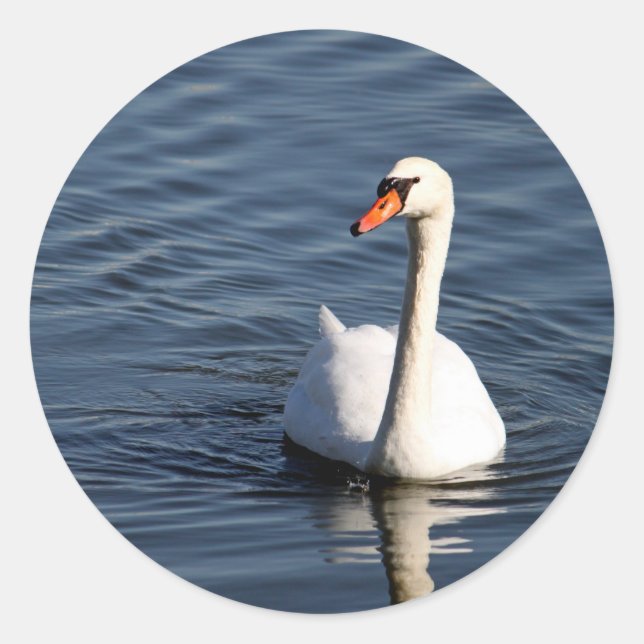 Pretty White Swan Photo Classic Round Sticker (Front)