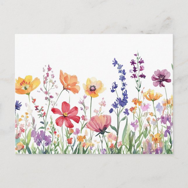 Pretty Wildflowers Colourful Floral Beautiful Postcard (Front)