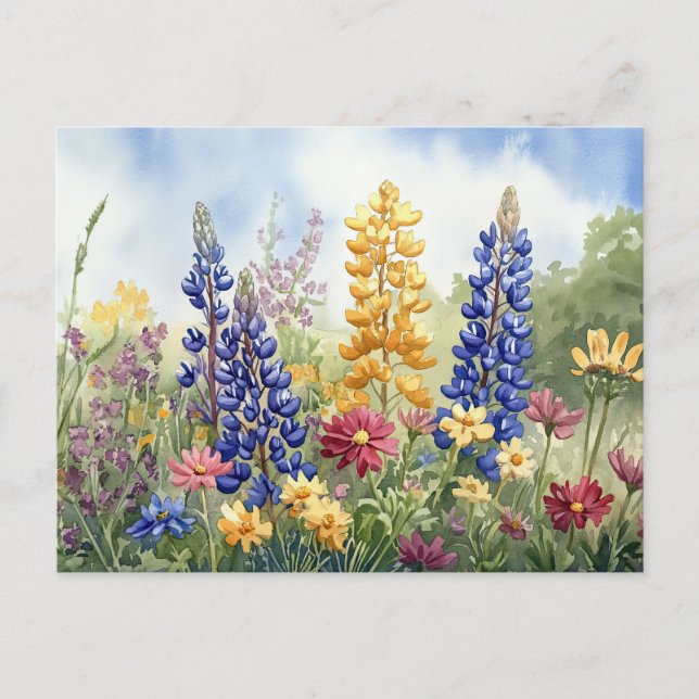 Pretty Wildflowers Colourful Floral Beautiful Postcard (Front)