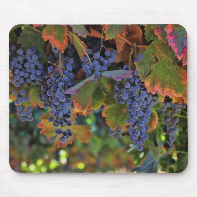 Pretty Wine Country Mousepad (Front)