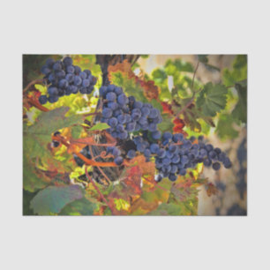 Pretty Wine Grape Vineyard Tissue Paper