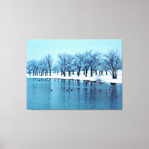 Pretty Winter Pond Wrapped Canvas