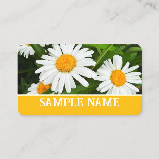 pretty yellow and white daisies floral photograph business card (Front)