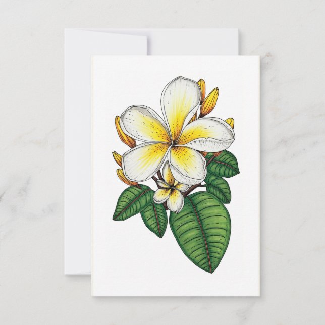 Pretty Yellow and White Plumeria Hawaiian  Thank You Card (Front)