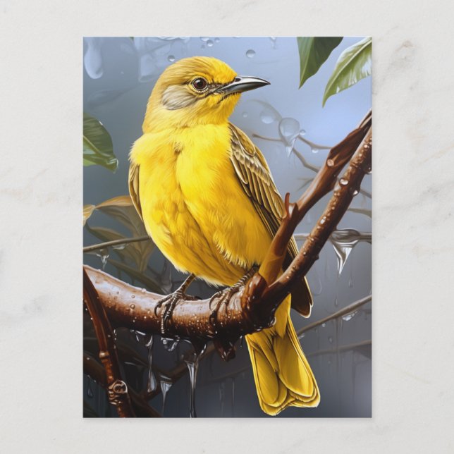 Pretty yellow bird  postcard (Front)