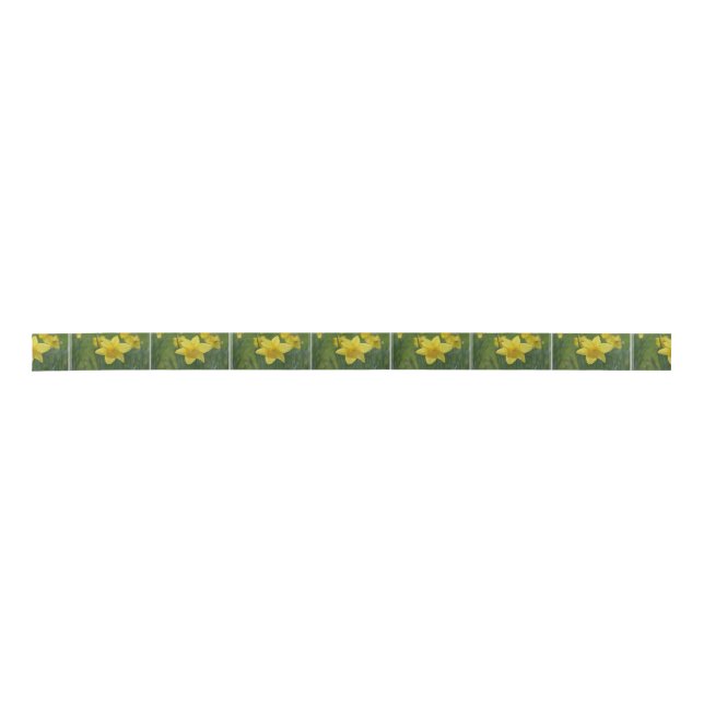 Pretty Yellow Daffodil Satin Ribbon (Front)