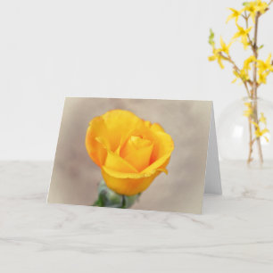 Pretty Yellow Gold Rose Bloom Art Note Card