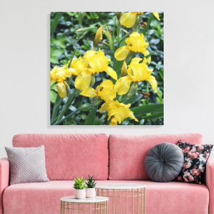 Pretty Yellow Iris Flower Garden Canvas Print