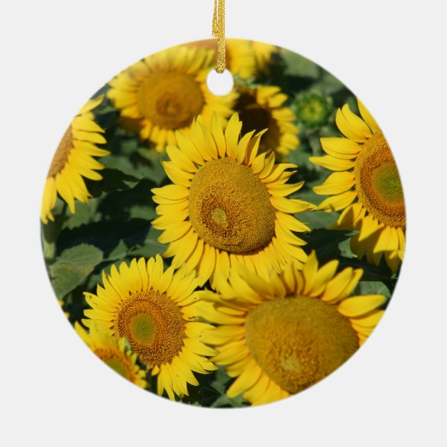 Pretty Yellow Kansas Sunflowers Ceramic Ornament (Back)