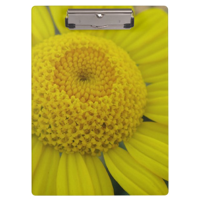 Pretty yellow marguerite clipboard (Front)
