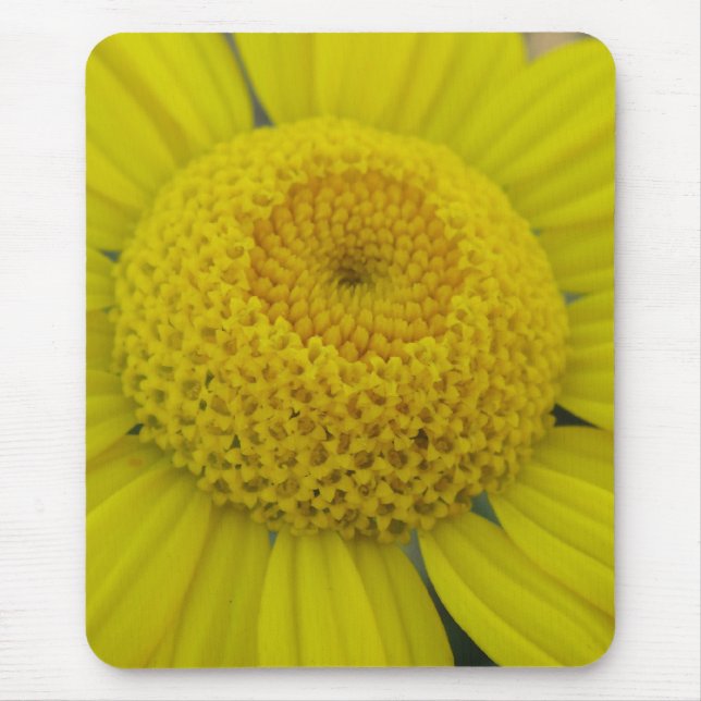 Pretty yellow marguerite mouse mat (Front)