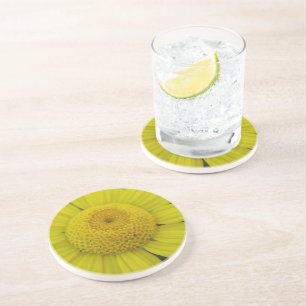 Pretty yellow marguerite square paper coaster