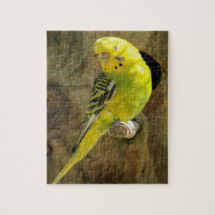 Pretty Yellow Parakeet Jigsaw Puzzle