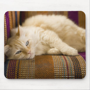 Pretty yellow tabi cat laying on couch. mouse mat