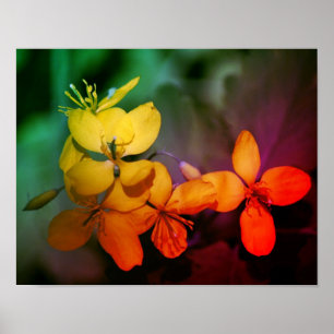 Pretty Yellow Wildflowers Abstract Poster