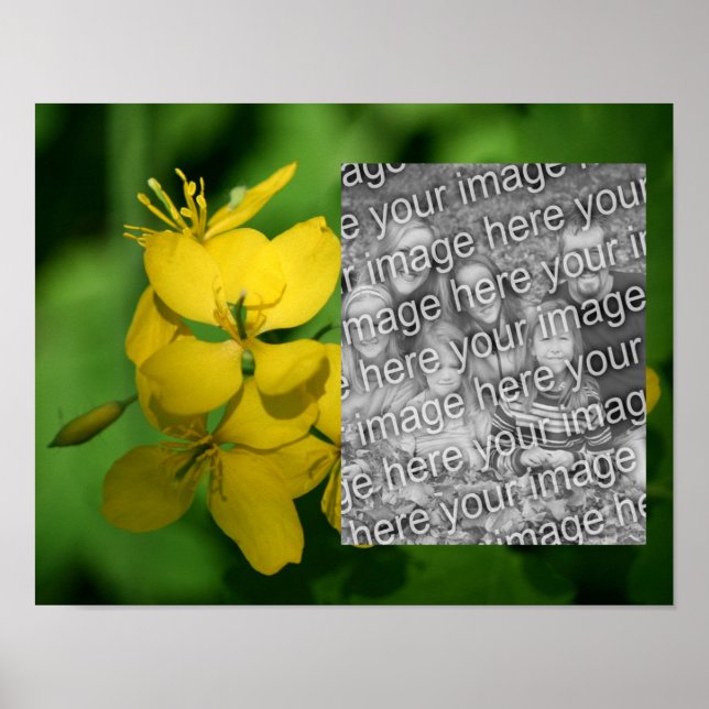 Pretty Yellow Wildflowers Frame Add Your Photo Poster (Front)