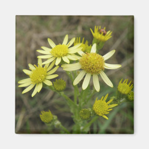 Pretty Yellow Wildflowers Magnet