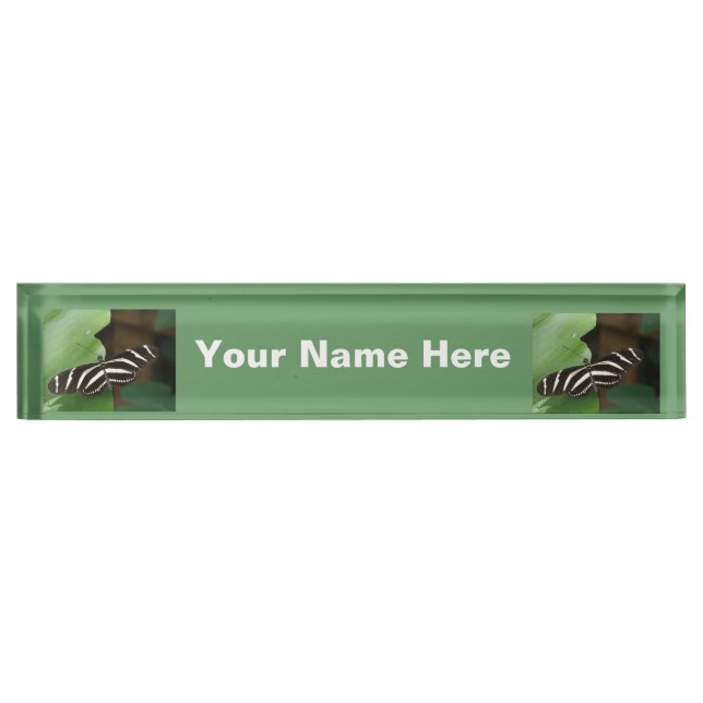 Pretty Zebra Longwing Butterfly Nameplate (Front)