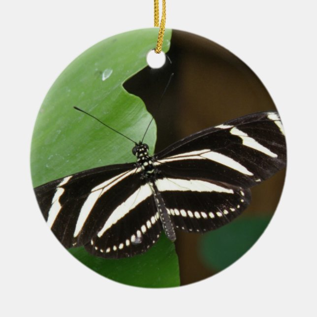 Pretty Zebra Longwing Butterfly Ornament (Front)