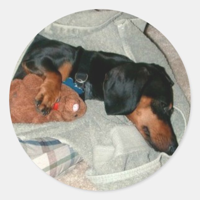 Pretzel & Pal Classic Round Sticker (Front)