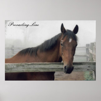 Prevailing Line Print