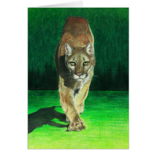 "Prey, Pray" Cougar