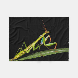 Preying mantis, Odzala, Kokoua National Park Fleece Blanket