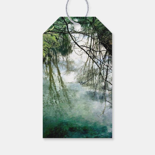 Price Tags Water (Back)