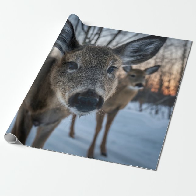 PRICELESS SUNSET WITH WILD LIFE WRAPPING PAPER (Unrolled)