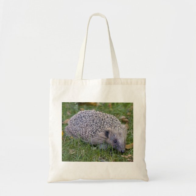 Prickles Bag (Front)