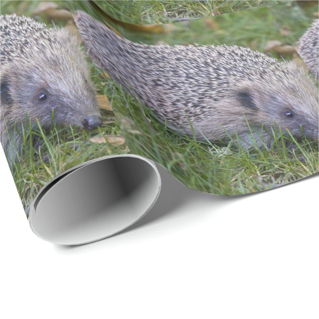 Prickles- European Hedgehog Wrapping Paper (Roll Corner)