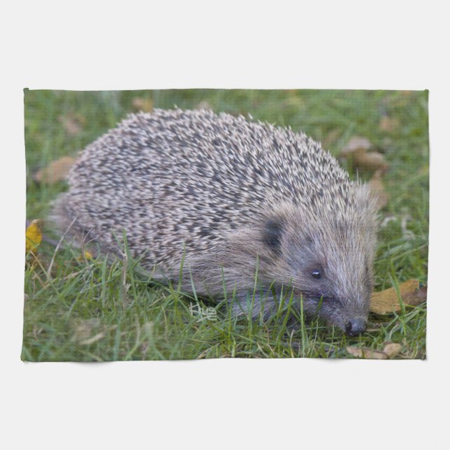 Prickles Kitchen Towel (Horizontal)
