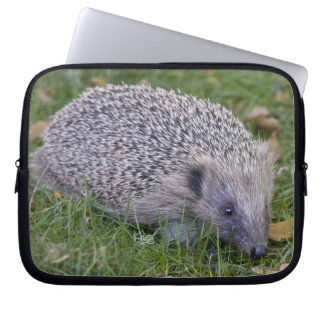 Prickles Laptop Sleeve