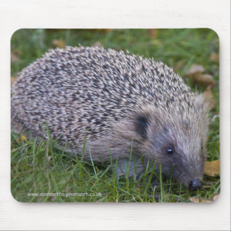 Prickles Mousemat