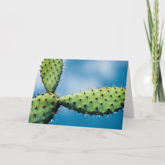 Prickley Cactus Card (Front)