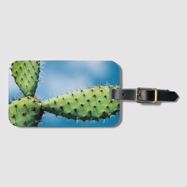 Prickley Cactus Luggage Tag (Front Horizontal)
