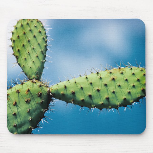 Prickley Cactus Mouse Mat (Front)