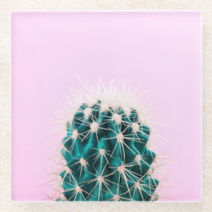 Prickley Cactus on Pink Glass Coaster
