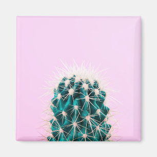 Prickley Cactus on Pink Magnet